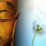 A Buddhist Perspective On Impermanence