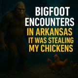 BIGFOOT ENCOUNTERS REPORTED FROM ARKANSAS STATE | IT WAS STEALING EGGS AND TAKING MY CHICKENS!