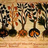 Trabajo agrícola de los mexicas: diversidad laboral en el campo