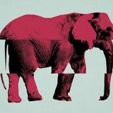 What Do The GOP And Its Top Candidates Stand FOR?