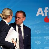 Was wird bei AfD alles wegfallen!?? Welche Parteien... ?