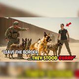 15 Military Dogs Guarded the Border—The Order They Defied | Dog Story Audiobook