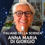 Anna Maria Di Giorgio: VIS, l'enorme macchina fotografica dell'universo