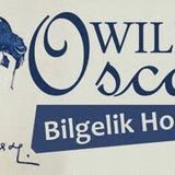 Bilgelik Hocası  Oscar WILDE sesli öykü