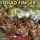Two Field Workers Saw Something Pull Itself Through a Florida Swamp
