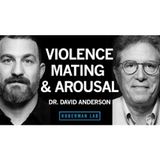 The Biology of Aggression, Mating, & Arousal _ Dr. David Anderson