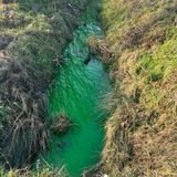 Acqua verde nel fossato in strada Marosticana: proveniva da un impianto di lavaggio mezzi