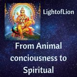 From Animal Consciousness to Spiritual