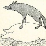 De Hongerige Wolf | Sprookjes Over Pesten