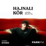 steko: Megtaláltam a saját hangomat | Park FM – Hajnali Kör