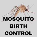 Sterile Mosquitoes Deployed - Adriane Rogers Pasco Mosquito Control