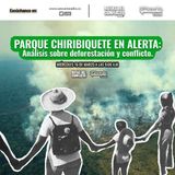Parque Chiribiquete en alerta: análisis sobre deforestación y conflicto