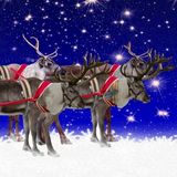 De Rendieren Van De Kerstman | Kerstverhalen