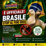 Le interviste de TG della Natura. Parliamo con Gabriele Ceracchini della legge in Brasile che abolisce il foie gras