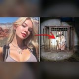She Vanished in Vegas — Then Reappeared Caged on Livestream