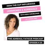 #20: How The Gut Influences Hormones & Adrenals with Brie Wieselman