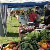 Festa per i Gruppi di Acquisto Solidale vicentini, fra mercato, incontri e laboratori