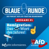 Remigration - das Wort des Jahres! | Die Blaue Runde, Ausgabe 01/24 vom 16.01.2024