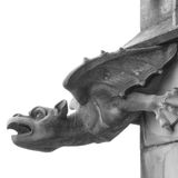 Gargoyles: guardiani silenziosi e suggestivi