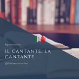 219. GRAMMATICA: Il cantante, la cantante