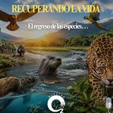 NUESTRO OXÍGENO Recuperando la vida, el regreso de las especies