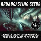 Signals in the Fog: The Supernatural Shift No One Wants to Talk About