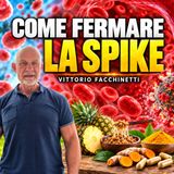 COME FERMARE LA SPIKE - VITTORIO FACCHINETTI