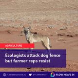 Should Australia abandon the dog fence and reintroduce wild dogs & dingoes? Some ecologists think so