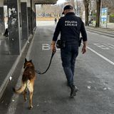 Controlli serrati sullo spaccio a Thiene, Lugo e Zanè: denunciati due minorenni