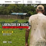 Liderazgos de Sucre: una labor de "bajo perfil"