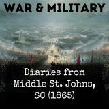 006 - Extracts From The Diary Of Colonel Charles B Fox 55th Massachusettes
