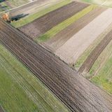 77) The Soil of our Heart