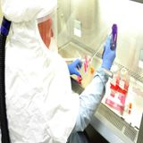 EUA aplica vacuna en etapa de prueba contra Covid-19