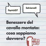 Benessere del cavallo montato: cosa sappiamo? - PRIMA PARTE