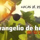 Día 01-12-23 Meditación del Evangelio con los escritos de Luisa Picarreta (2)