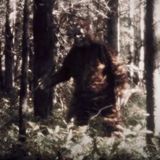 Bigfoot Sighting in Colorado With Ron Boles | Conspiracy Podcasts