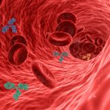 Come Ripulire le Arterie in Modo Naturale: Guida alla Salute Cardiovascolare