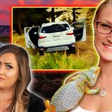 Her SUV Found Disabled_ Stalker Ex _ A Chilling Photo_ The Disappearance of Chelsea Grimm
