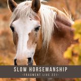 Slow Horsemanship - fragment live 221