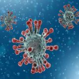 Van 213 muertos por coronavirus en China