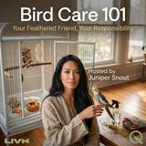 Bird Care 101 - Master the essentials with Juniper Snout