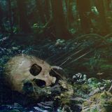 Mysterious places : Aokigahara, Japan's suicide forest with special guest Jason Quitt