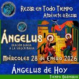 Oración del Angelus del día de hoy, Miércoles 28 de Enero 2026, Oración a la virgen María