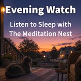 Calming Sleep Stories | A Cat’s Bedtime Ritual