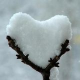 #forlì Cuori sotto la neve-storie di un appuntamento