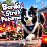 Bordo W Straży Pożarnej Bajka Do Słuchania Dla dzieci Audiobook Na Dobranoc