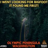 He Saw a Gray Bigfoot in Ocean Shores—Then It Got Closer