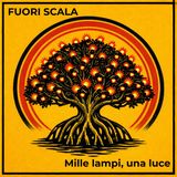 Mille lampi, una luce: le lucciole che battono il tempo