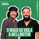 Moda de viola como expressão da música caipira brasileira #429