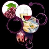 Festa del vino del Monferrato - Emanuele Capra sindaco CasaleMonferrato